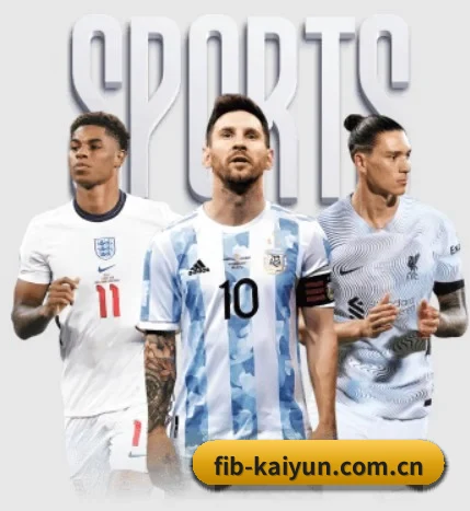 五大服务分区,信息按项目分类（kaiyun）